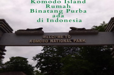 Komodo Island Rumah Binatang Purba ada di Indonesia