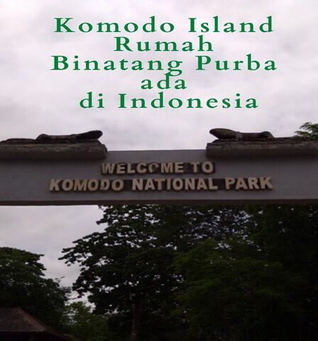 Komodo Island Rumah Binatang Purba ada di Indonesia