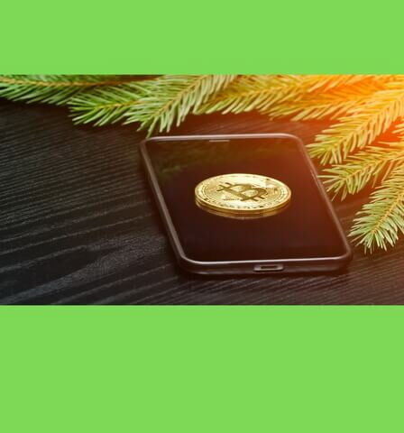 Token Utilitas Sebagai Alat Pembayaran Niaga Virtual Masa Depan