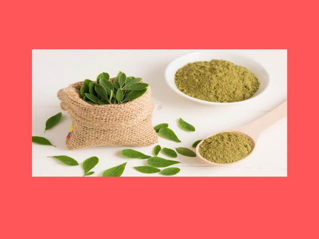 Manfaat Daun Kelor