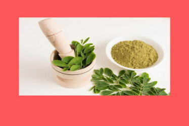 Manfaat Daun Kelor serta Cara Pengolahannya dengan Benar, Wajib Tahu!