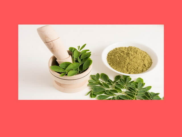 Manfaat Daun Kelor serta Cara Pengolahannya dengan Benar, Wajib Tahu!