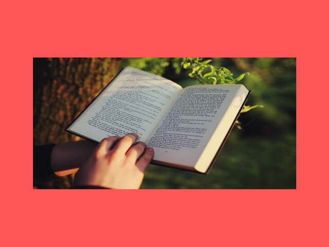 Baca novel online
