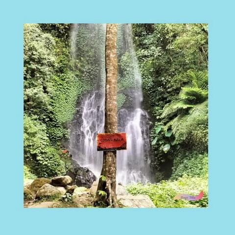 Traveloka hotel Malang