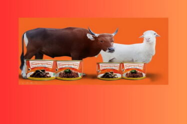 Daging Kurban dan Ketahanan Pangan dari Rumah Zakat