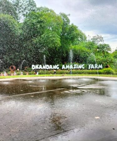 D'Kandang Amazing Farm, Agrowisata Ramah Anak di Sawangan Depok
