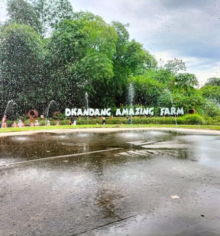 D'Kandang Amazing Farm, Agrowisata Ramah Anak di Sawangan Depok