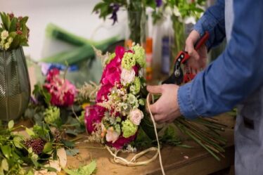 Panduan Memilih Bunga di Toko Bunga: 7 Tips dari Ahli Florist