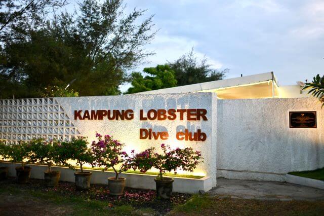 Budidaya Lobster