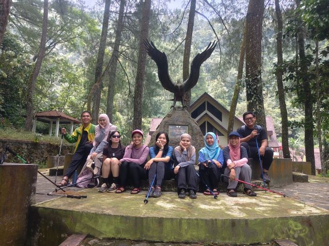 Elang